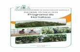 FUNDACIÓN HONDUREÑA DE INVESTIGACIÓN …...Informe Técnico 2019 Programa de Hortalizas iii Cuadro 18. Número de frutos y rendimiento comercial de cultivares de tomate tipo bola