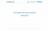 PUBLICACIÓN WEBcompraspublicas.cba.gov.ar/wp-content/uploads/2013/08/Instructivo... · 7 4. Generación de una Publicación Web Para generar una nueva Publicación que se visualizará