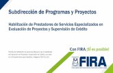 Subdirección de Programas y Proyectos - FIRA · experiencia en evaluación de proyectos o en supervisión y seguimiento del crédito). c) Constancias de experiencia laboral en evaluación