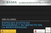 ESPECIES EXÓTICAS INVASORAS Y SU IMPACTO EN LA BIODIVERSIDAD exóticas... · 2019-05-13 · Eucalyptus spp en España, ¿son especies exóticas invasoras? Criterio de la UICN (2000):