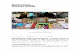 Memoria de actividades Meninas Cartoneras Editorial Gráfica, …€¦ · Presentación de “Tres más Cuatro”, Feria del Libro de Madrid, 2013 Siete autores de diversos países