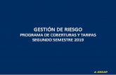 GESTIÓN DE RIESGO - ANCAP€¦ · GESTIÓN DE RIESGO Hitos Octubre 2018 Ley Presupuesto N° 19.670 Autoriza IFD 2017 MEF -MIEM-TCR y ACCE Trabajan en redacción del Articulo en la