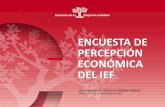 ENCUESTA DE PERCEPCIÓN ECONÓMICA DEL IEF...Murcia 27, 28 y 29 de octubre de 2019 2018 2017 2016 5,31 6,22 5,48 5,33 Califique de 0 a 9 la situación económica actual • Año 2019