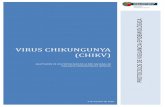 VIRUS CHIKUNGUNYA (CHIKV)€¦ · El virus Chikungunya emergió desde un ciclo selvático en África, resultando en tres genotipos: Este Africano, Este/Centro Africano y Asiático.