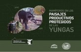 MAMêFEROS EN LOS PAISAJES PRODUCTIVOS PROTEGIDOSediciones.proyungas.org.ar/wp-content/uploads/2020/...La Selva Pedemontana representa un ecosistema de interfase en-tre las húmedas