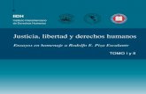 TOMO I y II TOMO I y II - UNAMarchivos.juridicas.unam.mx/www/bjv/libros/12/5951/24.pdfhumanos como un derecho esencial de la persona humana. Decía el Dr. Piza que los principales