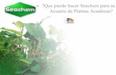 ?Que puede hacer Seachem para su Acuario de Plantas Acuáticas? · 2014-09-09 · Source: Ecology of the Planted Aquarium, Diana Walstad, pg 103; and Biology (1987), Neil Campbell,