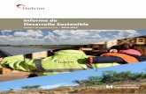 Informe de Desarrollo Sostenible - Holcim Argentina Asuntos Corporativos, Desarrollo Sostenible y Medioambiente
