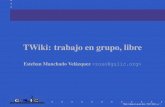 TWiki: trabajo en grupo, libredemiurgo.org/charlas/twiki.pdf · TWiki: trabajo en grupo libre / FiCIT 2003 Œ p. 5. Para quØ se puede usar un Wiki Documentación Enciclopedias colaborativas