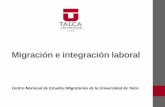 Migración e integración laboral · Centro Nacional de Estudios Migratorios de la Universidad de Talca. Antecedentes participación laboral Participación Laboral en Chile = 58,3%