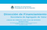 Dirección de Financiamiento - Bioeconomía Argentina...Destino: Exclusivamente capital de trabajo en economías regionales. INTERÉS: Tasa de la línea 400 (TACG: 27 % x 0,9= 24,3