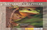 Atlas y Libro Rojo de los Anfibios y Reptiles de España · de los anfibios y reptiles partíamos de un atlas anterior relativamente reciente (P LEGUEZUELOS, ed., 1997) que recogía