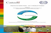 PROYECTO AGRO PERÚ - SST Y PRODUCTIVIDAD · la información en materia de SST. El proyecto “Seguridad y salud en el trabajo (SST) y productividad en las empresas en el sector agroexportador