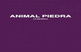 ANIMAL PIEDRA - Derivas films · ANIMAL PIEDRA una película de JUAN FIGUEROA. SINOPSIS1 ESPÍRITU DEL FILM 2 ... cuarcita, y en esa travesía, la obra le va tallando a él. El film