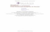 DIPSA - Distribuciones Industriales de Puebla, S.A. de C.V. - Mandas 1: Formaciones …dipsa.com/ClanDunant/Textos/ASMAC - MANADAS1.pdf · 2018-06-22 · FORMACIONES Introducción