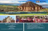 Tribal Tour Orissa · 2018-11-02 · Los mercados tribales en Chatikona y Onnukudelli . Sant Antoni Mª Claret, 111-113 _ 08025 BCN _ [t]. 93 456 18 85 _ [f]. 93 433 43 47 _ [m].
