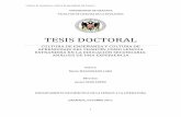 TESIS DOCTORAL - UGR · La Didáctica de la lengua extranjera: Definición del campo ... 45 1.2.3. Métodos históricos y enfoques actuales en la enseñanza/aprendizaje de las lenguas