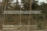 Valoración Ambiental - CGIARciat-library.ciat.cgiar.org/Articulos_Ciat/2015/... · 2.A Plantaciones forestales Para facilitar comparaciones entre las siete especies forestales, el