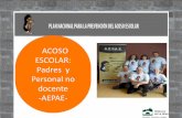 ACOSO ESCOLAR: Padres y Personal no docente -AEPAE-... · 2017-01-17 · AEPAE La Asociación Española para la Prevención del Acoso Escolar ( A.E.P.A.E. ó AEPAE) es una entidad