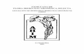 EXSICCATA DE FLORA IBERO-MACARONÉSICA …5 Presentación Este cuaderno o libreto recoge la relación de las exsiccata orrespondientes a la Décima Centuria (año 2005), de las Exsiccata