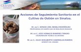 Presentación de PowerPoint€¦ · Bahía de Ceuta Culiacán 2 Long line C. corteziensis TOTALES 11 CAPACIDAD INSTALADA. 4 Medición de las variables de la calidad del agua NO 3-nitratos.
