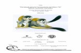 Estrategia para la Conservación del Mono Tití Saimiri ... Monkey 1999.pdf- Modificar la Ley Forestal en cuanto a los artículos que permiten la tala indiscriminada del ... "Estrategia