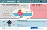 Respuesta de los CDC al ika ¿Está EMBARAZADA y vive en un área con zika?ahca.myflorida.com/medicaid/pdffiles/PREGNANT_and_living... · 2016-08-02 · prevenir el zika ni medicamentos
