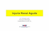Injuria Renal Aguda · Por esta razón, la expresión de acute kidney injury “Injuria renal aguda” ha sido adoptada para reconocer la importancia del espectro de la enfermedad