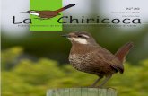 Noviembre 2015 La Chiricoca · Foto portada: Turca (Pteroptochos megapodius ), 21 de mayo de 2013, Tunquén, provincia de Valparaíso, foto Pablo Cáceres. boletín electrónico de