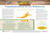 Fundamentos de los Plátanos - Food Hero · 6 plátanos,pelados y rebanados a lo largo 4 cucharadas de azúcar morena 4 cucharadas de margarinao mantequilla ½ taza de uvas pasasu