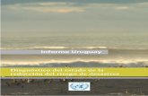 Informe Uruguay - Disaster risk reduction · PRIORIDAD 4 Reducir los factores subyacentes del riesgo. Agencias líderes: CEPAL, PNUD, PNUMA. PRIORIDAD 5 Fortalecer la preparación