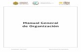 Manual General de Organización - SSTEEV€¦ · El presente manual pretende cumplir con el propósito de reglamentar las funciones de las diversas unidades administrativas y apoyar