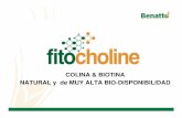COLINA & BIOTINA NATURAL y de MUY ALTA BIO-DISPONIBILIDADbenatto.com/sitio/pdfs/fitocholine.pdf · dietas con alta energía son convertidas en ácidos grasos que requieren de grupos