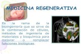MEDICINA REGENERATIVA - ADEIT€¦ · mismas para regenerar órganos y tejidos. Sin embargo, son un tipo de célula no diferenciada, por lo que sólo pueden reparar los daños de