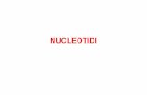 NUCLEOTIDI - Unifedocente.unife.it/riccardo.gavioli/biochimica-per-farmacia/lezioni... · (AMP ciciico, AMP) Guanosina 3 ' ,5 ' -monofosfato ciclico (GMP ciciico, cGMP) Guanosina