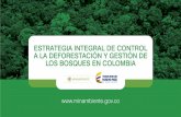 Presentación de PowerPoint · Contexto internacional . ÍTEM CHILE PERÚ COLOMBIA Superficie forestal (millones de hectáreas) Superficie territorio nacional 76.7 128.5 114 Superficie