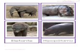 Elefante - WordPress.com ·  Elefante Hipopótamo .  Jirafa Oso .  Perro Gato