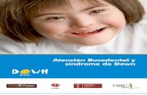 Atención Bucodental y síndrome de Down · y nivelación dentarias. Recomendaciones para cada grupo de edad pediátrica Edad preescolar (2-6 años). La presencia de la madre o el