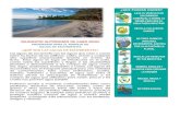 PROGRAMA PARA EL MANEJO DE AGUAS DE - Municipio Cabo Rojo ordenamiento/MS4 Cabo Rojo.pdf · agua y nuestro medio ambiente. ¡Comparte esta información con tus familiares, amigos