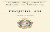 Tribunal de Justiça do Estado Do Amazonas PROJUDI AM · Breve Histórico 1 •Em setembro de 2012, uma Comissão formada pelo Coor- denador Geral de Informática, Des. Yedo Simões