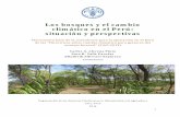 Los bosques y el cambio climático en el Perú: situación y …siar.minam.gob.pe/.../files/archivos/public/docs/los_bosques_peru.pdf · MITIGACIÓN DEL CAMBIO CLIMATICO Causas de