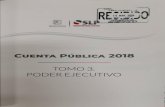 PODER EJECUTIVO - San Luis Potosí · PODER EJECUTIVO PRESENTACIÓN En este Tomo se muestran los estados financieros del ejercicio 2018 correspondientes al Poder Ejecutivo, de conformidad