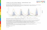CIRCULACION VIRAL SEMANA 36 - sochempsochemp.cl/wp-content/uploads/36.pdf · del 31,5%,inferior a la semana35(37,6%). De los 428 casos positivos, el virus predominante sigue siendo