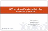 APS en situación de catástrofes - Gobierno de Chile · ámbito mucho más amplio, y eso nos sirvió para tener una perspectiva ... tenemos un conocimiento de la comunidad, y que