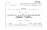 CREG Comisión de Regulación de Energía y Gas 101C29-0000 ...apolo.creg.gov.co/Publicac.nsf... · En cualquier caso, la ... 3.1.2 Argentina Analizando el sistema de poliductos de