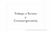 Trabajo a Turnos y - UGRact/presentacion/Cronoergonomia_ErgoCog... · 2018-04-19 · Cuestionario de Matutinidad-Vespertinidad Horne and Östberg, 1976 (Adan & Almirall, 1991) Si