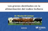 Los granos destilados en la alimentacion · 2012-07-05 · Dr. Nicolas Di Lorenzo 6/27/12 . Burlanda de maiz Es un producto nuevo en el mercado ... 0-10% b23,7 33,4 3,43 2,96b 1,44