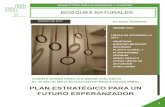 A UN FUTURO ESPERANZADOR - Bosques Naturalesbosquesnaturales.com/wp-content/uploads/2017/03/NL...5,68% 3,25% 4,71% -2,96% ... trabajando también con otras frondosas con el fin de