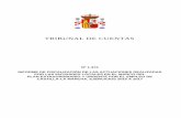 TRIBUNAL DE CUENTAS · 2020-06-19 · EL PLENO DEL TRIBUNAL DE CUENTAS, en el ejercicio de su función fiscalizadora establecida en los artículos 2.1), 9 y 21.3.a) de la Ley Orgánica