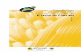Órgano de gestión Plátano de Canarias IGP€¦ · semana desde hasta penÍnsula extranjero mercado interior retirada de mercado total % 1 1/1/2018 7/1/2018 16103.7 . 7 046 71.